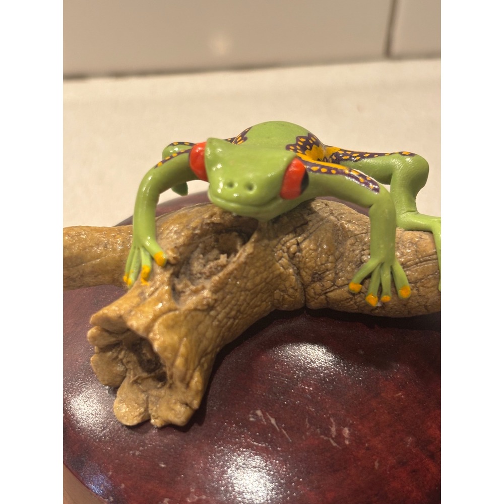 Handcrafted Red Eyed Tree Frog Wooden Trinket Box Tropical Nature Decor Green
